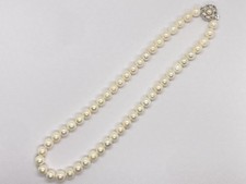 Necklace Akoya Saltwater Pearl