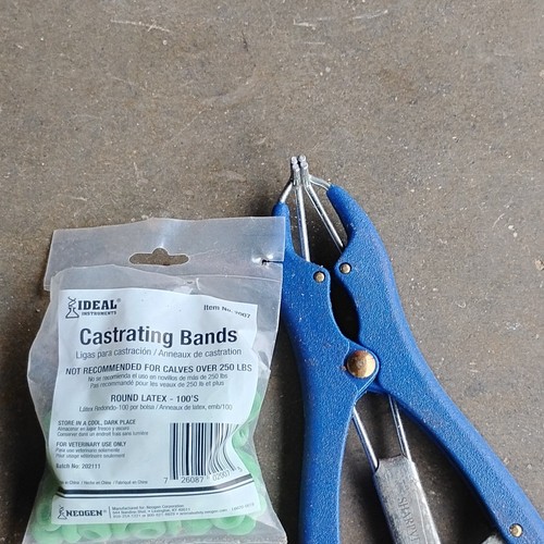 Castrating rings 100 - castrating, pcs