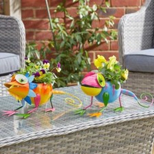 Cute Gecko Pot Pet Novelty Fun