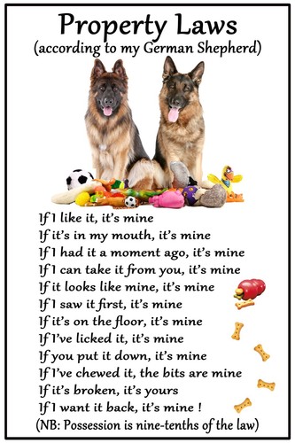 German shepherd dog lovers - german,