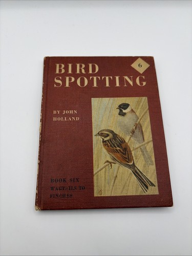 Bird spotting john holland - spotting,