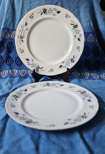 Pair colclough linden - a,