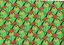 Duck Gift Wrap Wrapping Paper