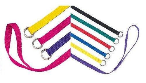 Slip style kennel dog lead - dog,