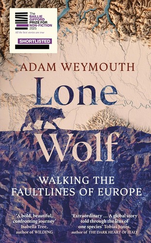 Lone wolf walking the - walking,