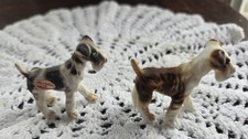 2 Miniature Terriers Boxer