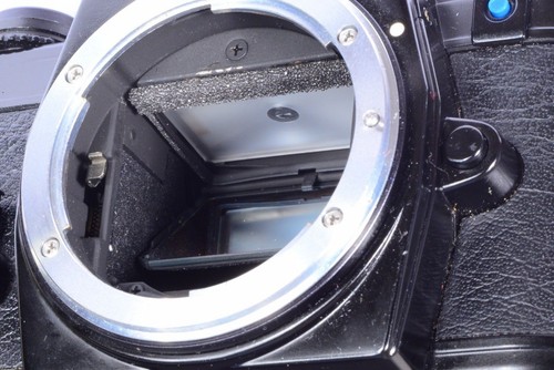 Nikon camera pre cut light - camera,
