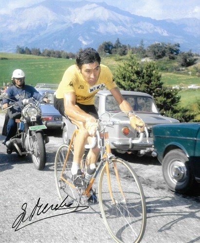 Eddy merckx cycling the - cycling,