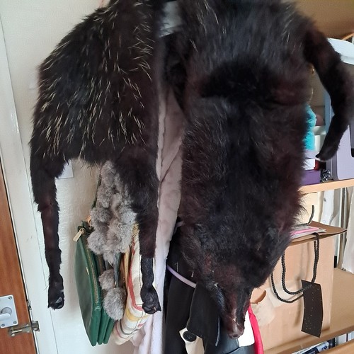 Vintage antique real fox fur - real,