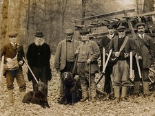 FLAT COATED RETRIEVER DOG