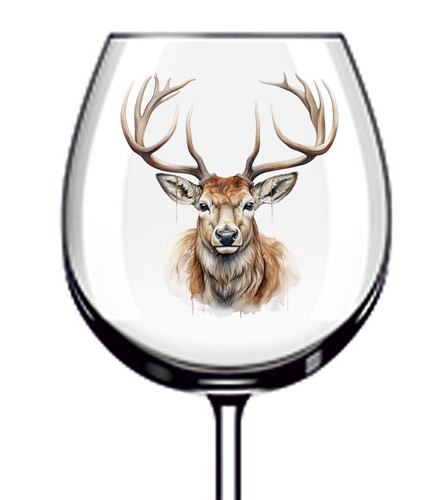 12x colour stag - colour, deer