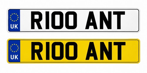 R100ant anthony ant rant - r100ant,