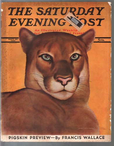 Mag saturday evening - saturday, post