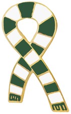 Plymouth Argyle Supporter