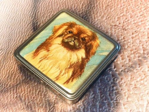 Stratnoid 1920s with pekingese - 1920s,