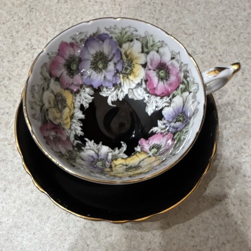 Rare paragon wild anemone - paragon, bone