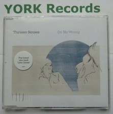 THIRTEEN SENSES - Do No Wrong
