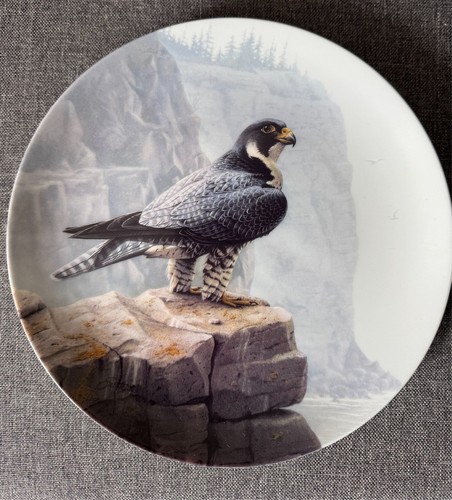 The peregrine falcon - "the, falcon"