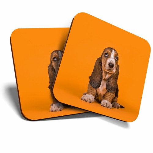 Coasters basset hound - basset,
