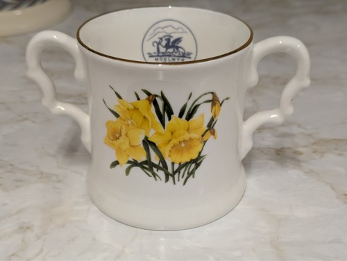 Welsh bone china tenby - bone,