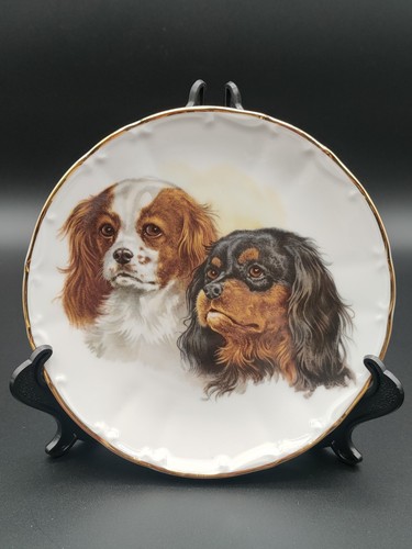 Vintage collectors decorative - vintage,