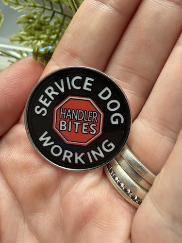Service dog working handler - service,