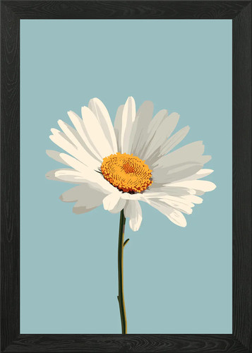 Daisy flower illustration - flower,
