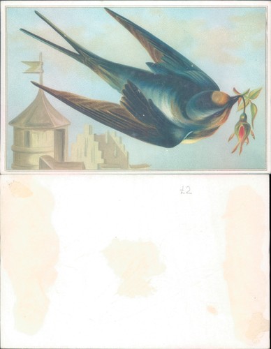 Swallow with flowers bird - with,