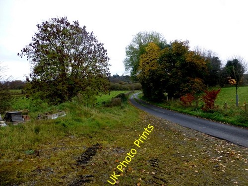Photo 6x4 manse road carony - photo,