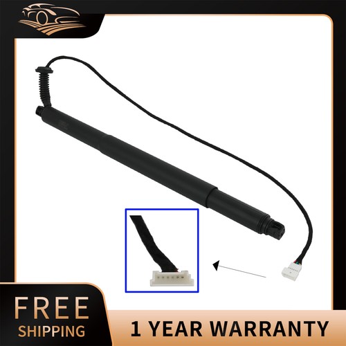 Rear right tailgate strut - right,