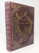 The Genera of British Moths