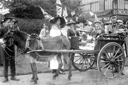 Hhm carnival donkey cart - carnival,