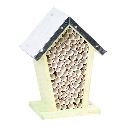 Wooden solitary bee - solitary,