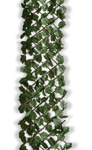 Expanding artificial ivy - expanding,