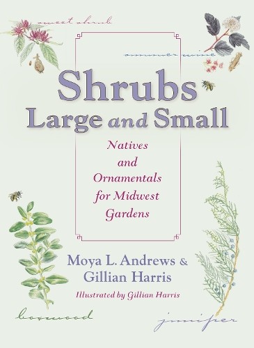 Shrubs large and - shrubs, by
