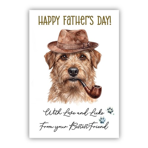 Norfolk terrier father - terrier, father’s