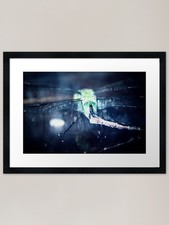 dragonfly macro Framed Art