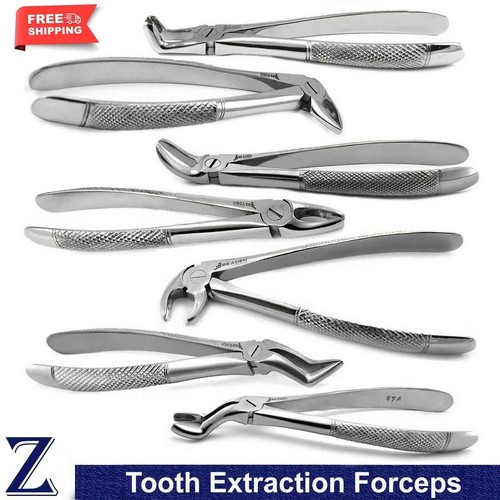 Tooth extraction forceps - extraction,