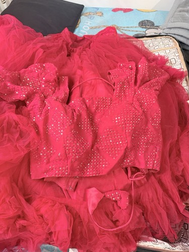 Red lehnga indian choli - lehnga,