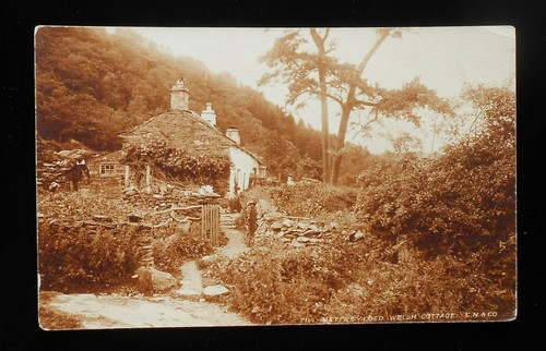 Rppc 1900s welsh - welsh, cottage