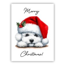 Bichon Frise Dog Christmas