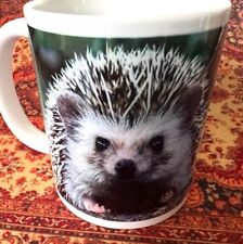 Baby Hedgehog Tea Coffee Mug