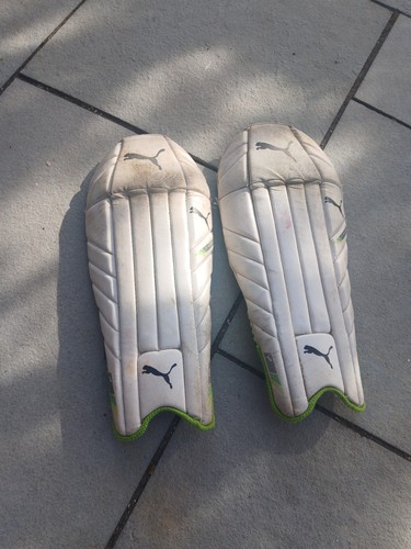 Puma cricket wicket keeping - cricket,