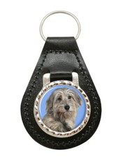 Berger des Pyrénées