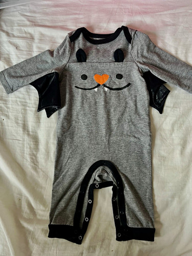 Cat jack halloween bat - halloween,