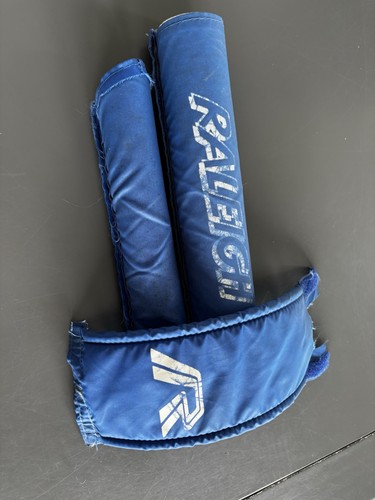 Raleigh burner blue and - raleigh,