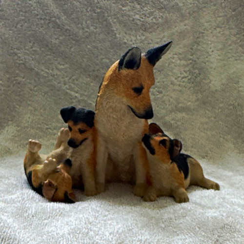Alsation german shepherd with - alsation/german,