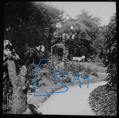 Edwardians garden harbourne - in,
