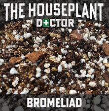 Bromeliad potting compost soil - potting,