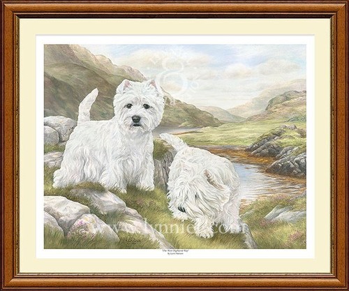 West highland terriers ltd - highland,
